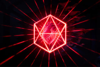 Celebrate Life Stay Amazed